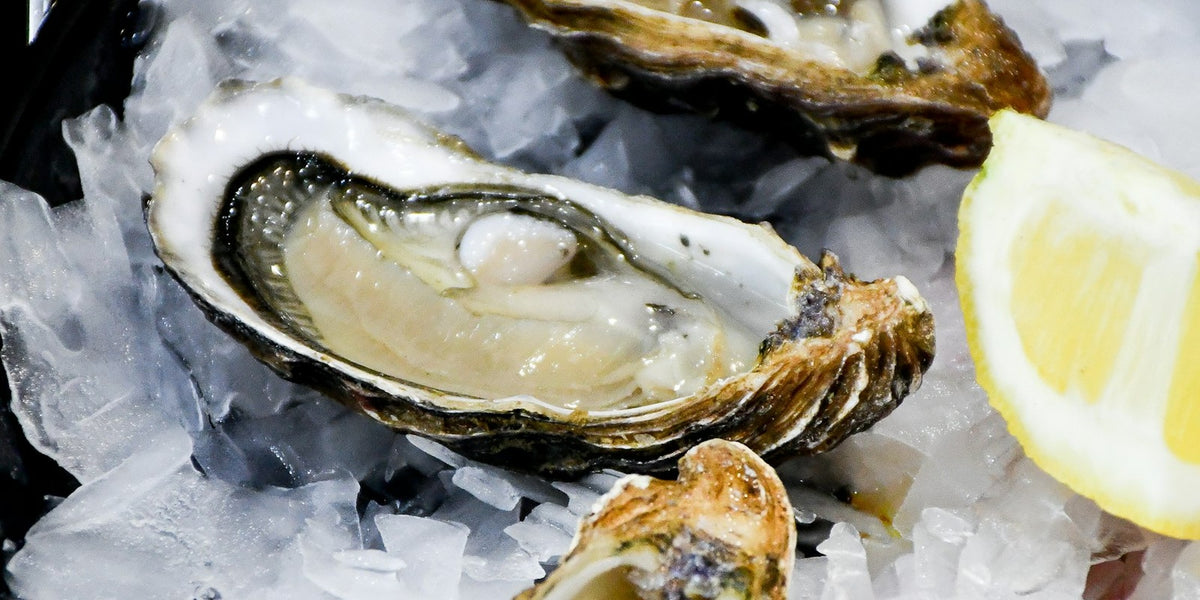 MICHELLE NICOLA — cold-water seafood hero